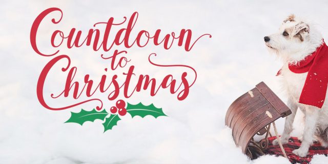 Sands Hair Design Countdown to Christmas Sands-Hair-Design-Countdown-to-Christmas