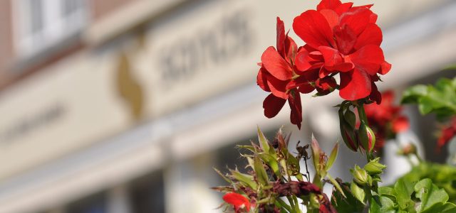 Sands Hair Design Salon The-Sands-Salon